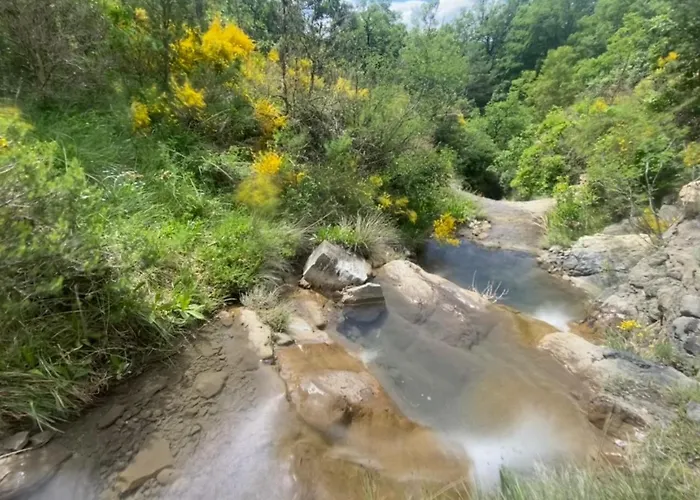 Cadre Exceptionnel A Courbons, 6km De Digne-les-Bains