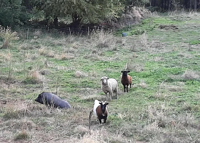 Cadre Exceptionnel A Courbons, 6km De Apartment Digne-les-Bains